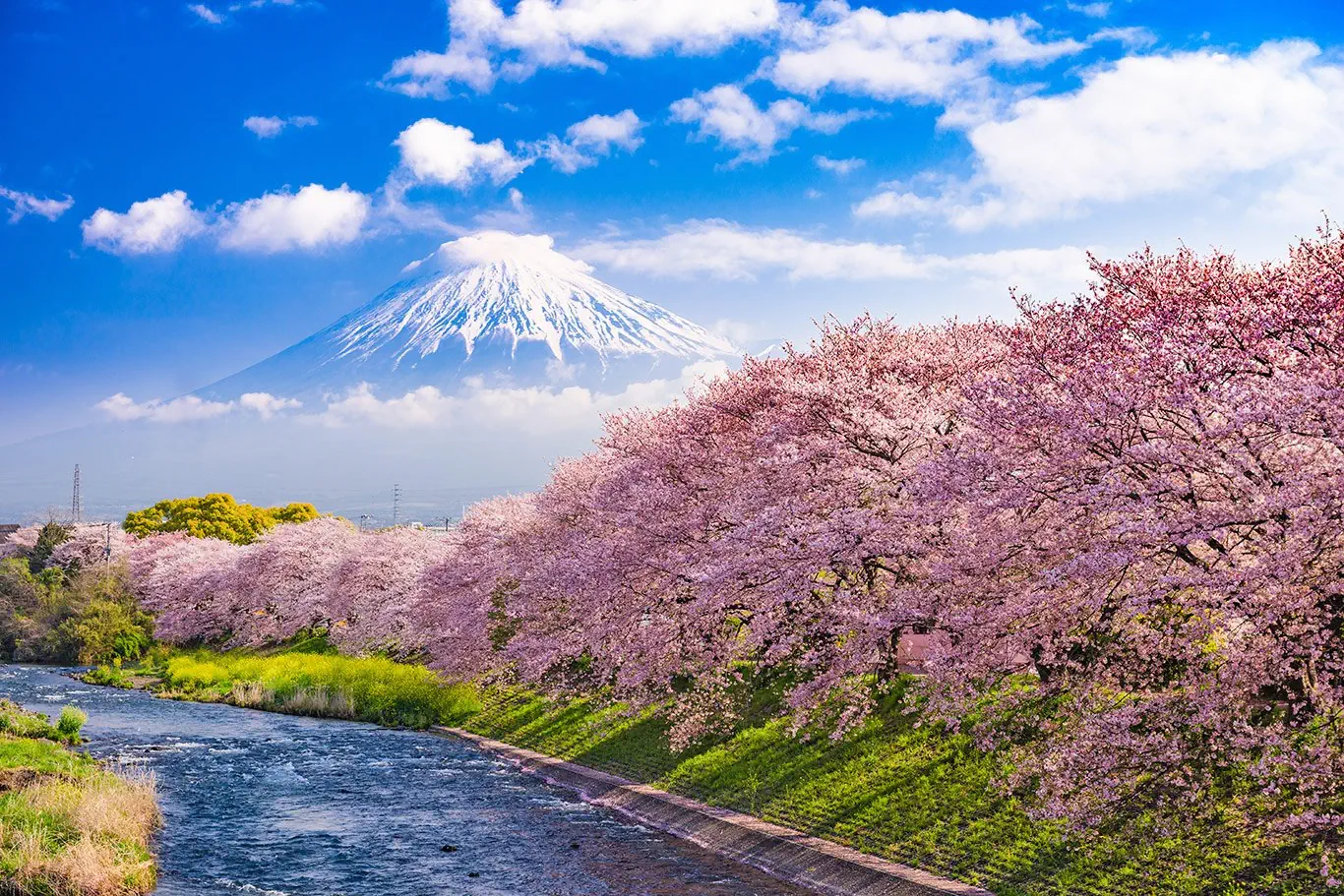 Japonia