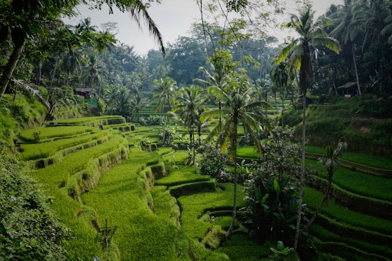Samoa